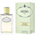 Prada Infusion De Gingembre